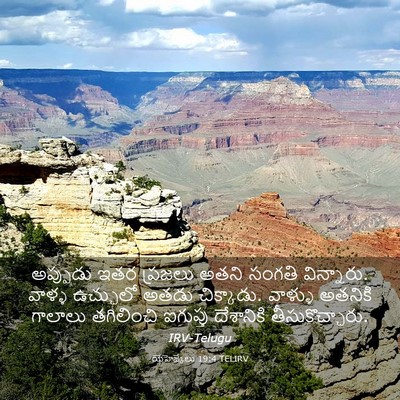 Picture 03 - యెహెజ్కేలు 19:4 TELIRV - అప్పుడు ఇతర - Bible Verse Picture