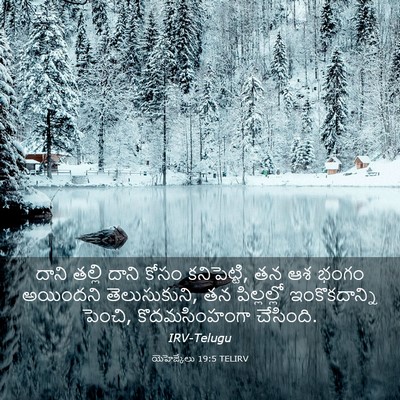Picture 03 - యెహెజ్కేలు 19:5 TELIRV - దాని తల్లి దాని - Bible Verse Picture