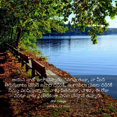 Picture 03 - యెహెజ్కేలు 2:3 TELIRV - ఆయన నాతో ఇలా - Bible Verse Picture