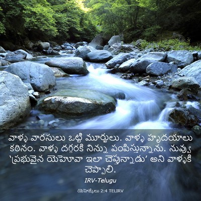 Picture 03 - యెహెజ్కేలు 2:4 TELIRV - వాళ్ళ వారసులు - Bible Verse Picture