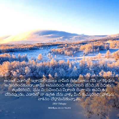 Picture 03 - యెహెజ్కేలు 20:13 TELIRV - అయితే ఎడారిలో - Bible Verse Picture
