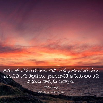 Picture 03 - యెహెజ్కేలు 20:25 TELIRV - తరువాత నేను - Bible Verse Picture