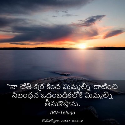 Picture 03 - యెహెజ్కేలు 20:37 TELIRV - “నా చేతి కర్ర కింద - Bible Verse Picture