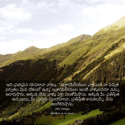 Picture 03 - యెహెజ్కేలు 20:40 TELIRV - ఇది ప్రభువైన - Bible Verse Picture
