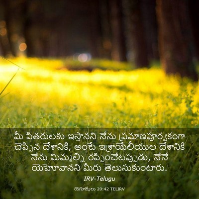 Picture 03 - యెహెజ్కేలు 20:42 TELIRV - మీ పితరులకు - Bible Verse Picture
