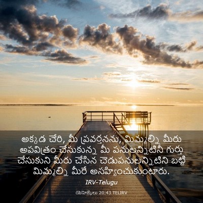 Picture 03 - యెహెజ్కేలు 20:43 TELIRV - అక్కడ చేరి, మీ - Bible Verse Picture