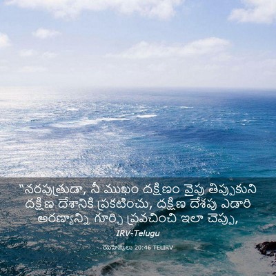 Picture 03 - యెహెజ్కేలు 20:46 TELIRV - “నరపుత్రుడా, నీ - Bible Verse Picture