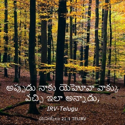 Picture 03 - యెహెజ్కేలు 21:1 TELIRV - అప్పుడు నాకు - Bible Verse Picture
