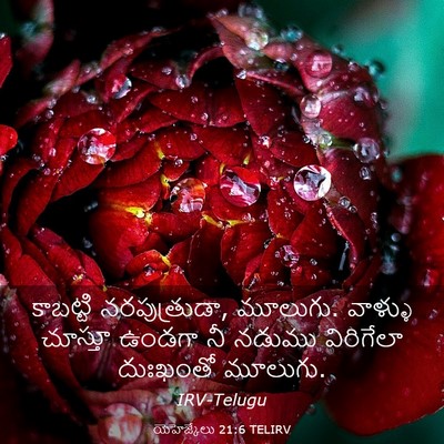 Picture 03 - యెహెజ్కేలు 21:6 TELIRV - కాబట్టి - Bible Verse Picture