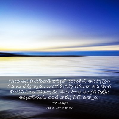 Picture 03 - యెహెజ్కేలు 22:11 TELIRV - ఒకడు తన - Bible Verse Picture