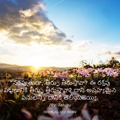 Picture 03 - యెహెజ్కేలు 22:2 TELIRV - “నరపుత్రుడా, - Bible Verse Picture