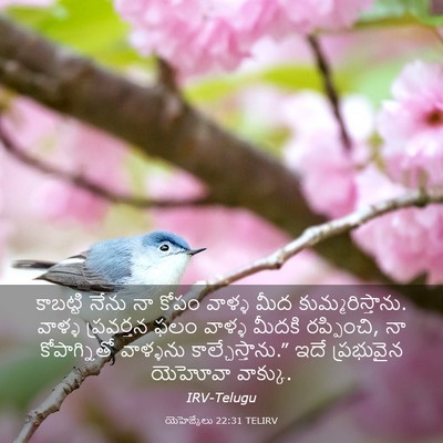 Picture 03 - యెహెజ్కేలు 22:31 TELIRV - కాబట్టి నేను నా - Bible Verse Picture