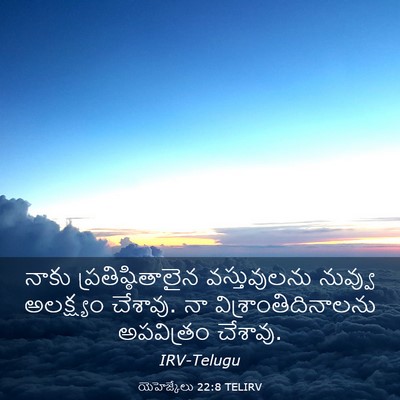 Picture 03 - యెహెజ్కేలు 22:8 TELIRV - నాకు - Bible Verse Picture