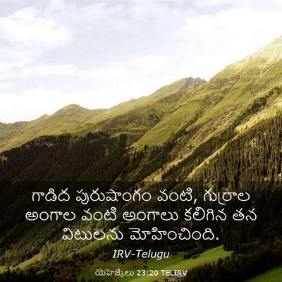 Picture 03 - యెహెజ్కేలు 23:20 TELIRV - గాడిద పురుషాంగం - Bible Verse Picture