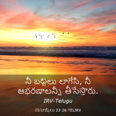 Picture 03 - యెహెజ్కేలు 23:26 TELIRV - నీ బట్టలు లాగేసి, - Bible Verse Picture