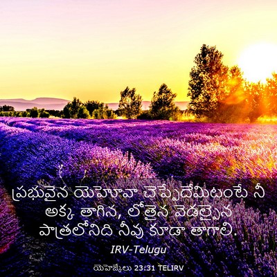Picture 03 - యెహెజ్కేలు 23:31 TELIRV - ప్రభువైన యెహోవా - Bible Verse Picture