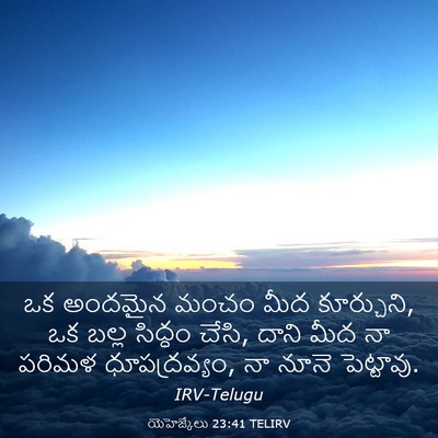 Picture 03 - యెహెజ్కేలు 23:41 TELIRV - ఒక అందమైన మంచం మీద - Bible Verse Picture