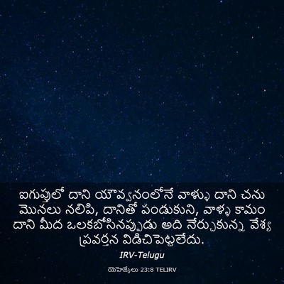 Picture 03 - యెహెజ్కేలు 23:8 TELIRV - ఐగుప్తులో దాని - Bible Verse Picture