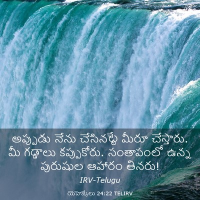 Picture 03 - యెహెజ్కేలు 24:22 TELIRV - అప్పుడు నేను - Bible Verse Picture
