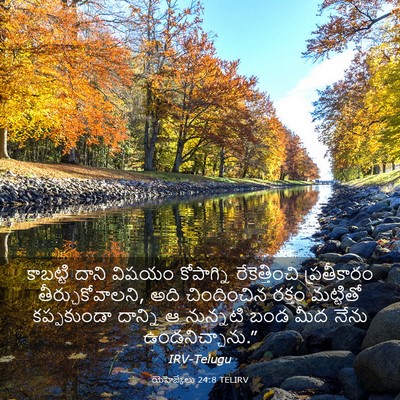 Picture 03 - యెహెజ్కేలు 24:8 TELIRV - కాబట్టి దాని - Bible Verse Picture