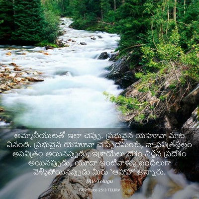 Picture 03 - యెహెజ్కేలు 25:3 TELIRV - అమ్మోనీయులతో ఇలా - Bible Verse Picture