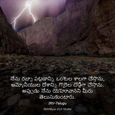 Picture 03 - యెహెజ్కేలు 25:5 TELIRV - నేను రబ్బా - Bible Verse Picture