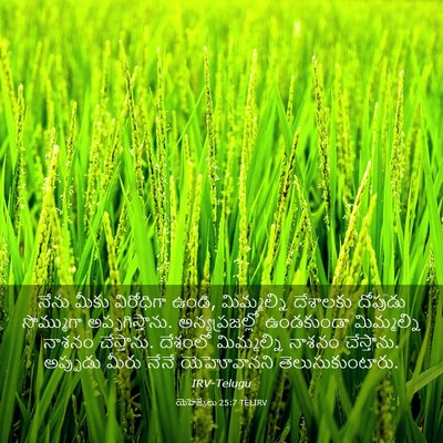 Picture 03 - యెహెజ్కేలు 25:7 TELIRV - నేను మీకు - Bible Verse Picture