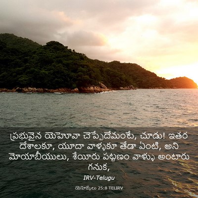 Picture 03 - యెహెజ్కేలు 25:8 TELIRV - ప్రభువైన యెహోవా - Bible Verse Picture