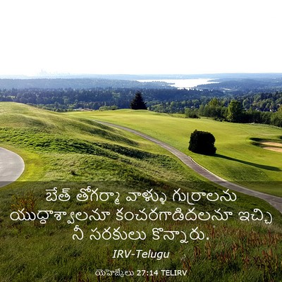 Picture 03 - యెహెజ్కేలు 27:14 TELIRV - బేత్ తోగర్మా - Bible Verse Picture