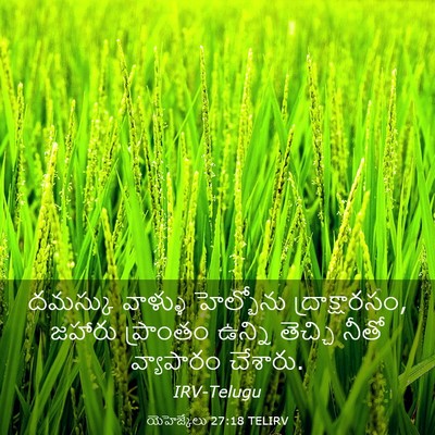 Picture 03 - యెహెజ్కేలు 27:18 TELIRV - దమస్కు వాళ్ళు - Bible Verse Picture