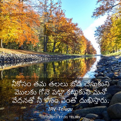 Picture 03 - యెహెజ్కేలు 27:31 TELIRV - నీకోసం తమ తలలు - Bible Verse Picture