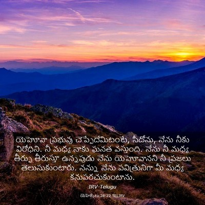 Picture 03 - యెహెజ్కేలు 28:22 TELIRV - యెహోవా ప్రభువు - Bible Verse Picture