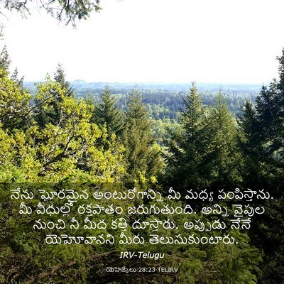 Picture 03 - యెహెజ్కేలు 28:23 TELIRV - నేను ఘోరమైన - Bible Verse Picture