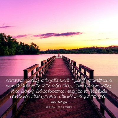 Picture 03 - యెహెజ్కేలు 28:25 TELIRV - యెహోవా ప్రభువు - Bible Verse Picture