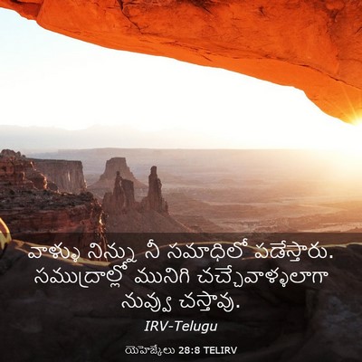 Picture 03 - యెహెజ్కేలు 28:8 TELIRV - వాళ్ళు నిన్ను నీ - Bible Verse Picture