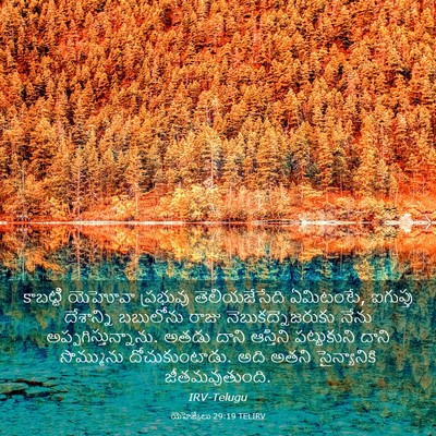 Picture 03 - యెహెజ్కేలు 29:19 TELIRV - కాబట్టి యెహోవా - Bible Verse Picture