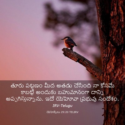 Picture 03 - యెహెజ్కేలు 29:20 TELIRV - తూరు పట్టణం మీద - Bible Verse Picture
