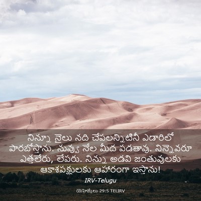 Picture 03 - యెహెజ్కేలు 29:5 TELIRV - నిన్నూ నైలు నది - Bible Verse Picture