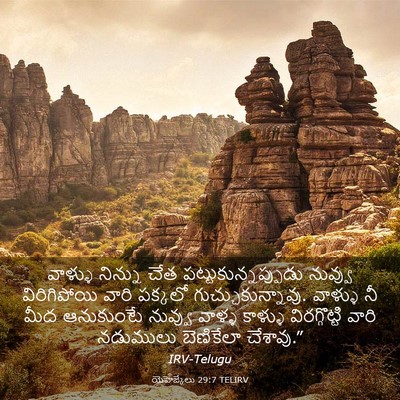 Picture 03 - యెహెజ్కేలు 29:7 TELIRV - వాళ్ళు నిన్ను చేత - Bible Verse Picture