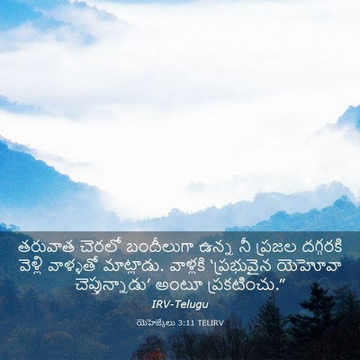 Picture 03 - యెహెజ్కేలు 3:11 TELIRV - తరువాత చెరలో - Bible Verse Picture