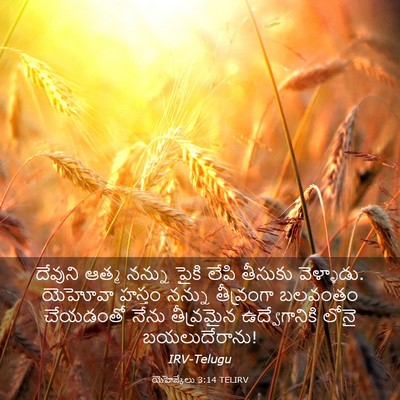 Picture 03 - యెహెజ్కేలు 3:14 TELIRV - దేవుని ఆత్మ నన్ను - Bible Verse Picture