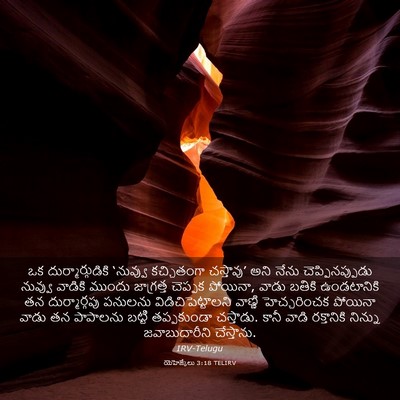 Picture 03 - యెహెజ్కేలు 3:18 TELIRV - ఒక దుర్మార్గుడికి - Bible Verse Picture