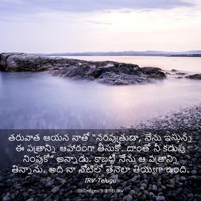 Picture 03 - యెహెజ్కేలు 3:3 TELIRV - తరువాత ఆయన నాతో - Bible Verse Picture