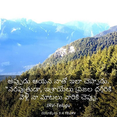 Picture 03 - యెహెజ్కేలు 3:4 TELIRV - అప్పుడు ఆయన నాతో - Bible Verse Picture