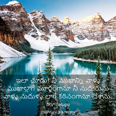 Picture 03 - యెహెజ్కేలు 3:8 TELIRV - ఇలా చూడు! నీ - Bible Verse Picture