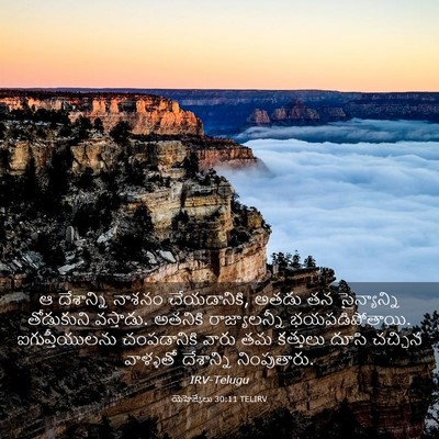 Picture 03 - యెహెజ్కేలు 30:11 TELIRV - ఆ దేశాన్ని నాశనం - Bible Verse Picture