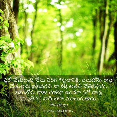 Picture 03 - యెహెజ్కేలు 30:24 TELIRV - ఫరో చేతులను నేను - Bible Verse Picture