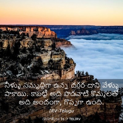 Picture 03 - యెహెజ్కేలు 31:7 TELIRV - నీళ్ళు సమృద్ధిగా - Bible Verse Picture