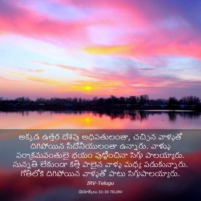 Picture 03 - యెహెజ్కేలు 32:30 TELIRV - అక్కడ ఉత్తర దేశపు - Bible Verse Picture