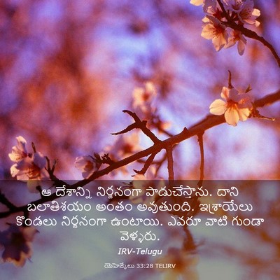 Picture 03 - యెహెజ్కేలు 33:28 TELIRV - ఆ దేశాన్ని - Bible Verse Picture